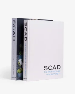 Architectonisch Ontwerp-Assouline Scad, Architectuur Van Een Universiteit