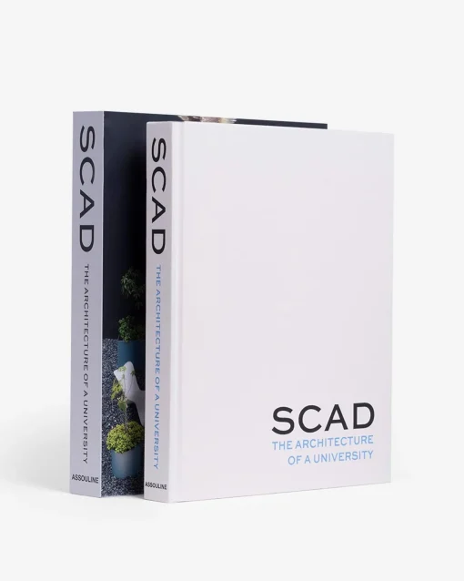 Architectonisch Ontwerp-Assouline Scad, Architectuur Van Een Universiteit