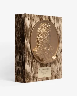 Kunst-Assouline Versailles: Van Lodewijk Xiv Tot Jeff Koons (Speciale Editie)